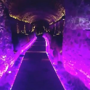 1.3M views · 23K reactions | Esta es una probadita de los Secretos de Puebla ¿Ya recorriste los túneles recién descubiertos de la ciudad? Foto de Instagram de @java_romero | Puebla | Facebook