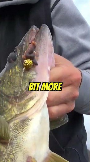 Hammered Gold Kalins Pendu Jig - Acme Tackle Company