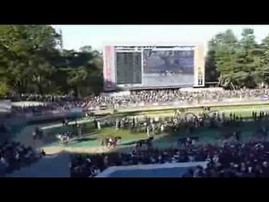 ジャスタウェイ号圧倒的勝利【2013年 天皇賞（秋）】