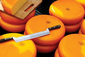 Cycling Holiday Netherlands | Cheese And Coasts | Dutch-biketours.com