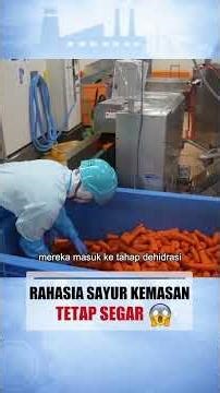 Rahasia Sayur Jepang Tetap Segar Tanpa Pengawet! 🥗🇯🇵 #shortsindonesia #prosesproduksi