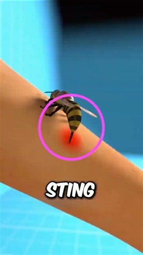 These are the Shocking Reasons Bees Die After Stinging 😱