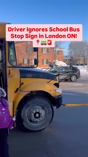 Driver Ignores School Bus Stop Sign as Kids Exit Bus in London ON! 📍🚌🚨 Video Credits by @tejadadaniel Follow @northlylondon for London Content Daily 🇨🇦 DM us your videos/photos to be featured on the page ‼️ #NMG #NMGlondon #london #londonontario #westernu