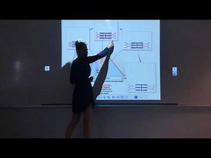 The Muscular System: Part 3.1