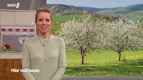 Streuselkuchen mit Pudding