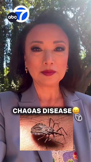 A parasitic infection from so-called "kissing bugs" has made its way to California. 😖 Chagas disease can cause chronic problems and even death. Here's what experts want you to know! https://abc7.la/42efiqQ | ABC7