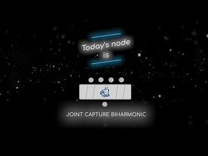 Mardini 2024 | Day 19 | Joint Capture Biharmonic
