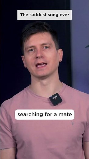 Saddest Song Ever Heard (Last Kauai O'o Bird)