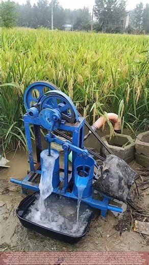 Using a Motor-Driven Twin-Piston Pump to Irrigate Rice Fields