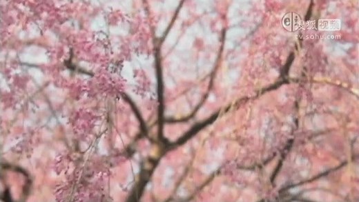 Sid_the_Science_Kid_S01E35_Sid_the_Weatherman