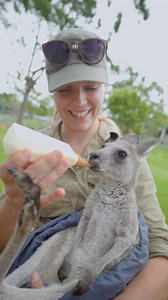 986K views · 171K reactions | Most precious Kangaroo Joey being...