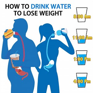 1.5K reactions · 446 shares | Drinking water helps our body in many ways. ⏰Time to drink water | Water Reminder | Facebook
