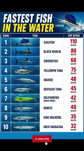 Fastest Fish in the World 🐟⚡ #facts #viral #waterfishes #speeddish