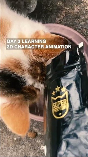 Day 3 – Walk to Sit Animation | Learning 3D Character Animation From Scratch