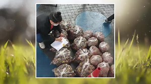 TV5HD Online Live on Reels | Facebook