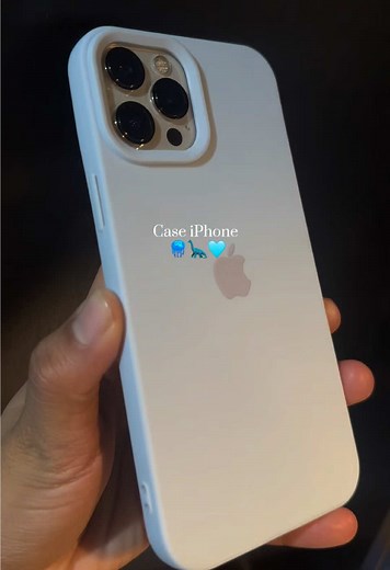 Accesorios y Fundas para iPhone: ¿Cuál Elegir?