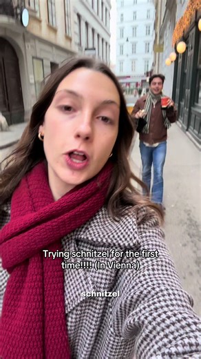 Exploring Traditional Viennese Dishes: First Schnitzel Experience