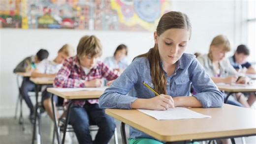 Burse de 1.000 de lei și șanse de angajare imediată pentru elevii dintr-un județ din România care aleg învățământul dual