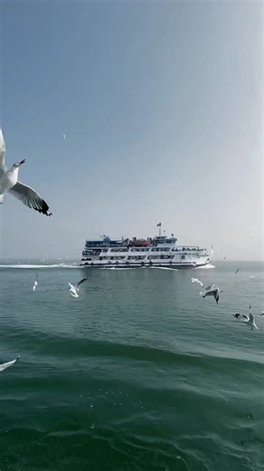 67K views · 3.4K reactions | সেন্টমার্টিনে ডিসেম্বর মাসের প্রি-বুকিং চলমান #ship #সেন্টমার্টিন #Sentmartin #ভাইরাল #saintmartin | Saintmartin Ship Ticket & Tour Package | Facebook