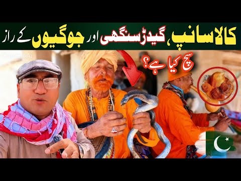 Snake Charmers of Sindh 🐍 | Secrets, Myths & Truth Revealed!