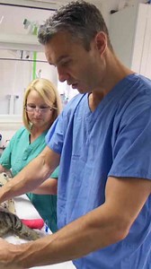 A surgery that couldn’t be paused