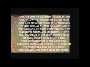 Do You know how many animals PETA HSUS and ASPCA kill each year?