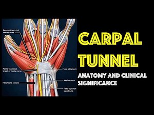 Carpal Tunnel: Anatomy, Variations and Clinical Significance