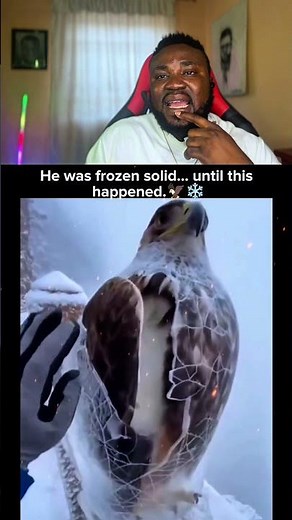 Is this video an AI or not