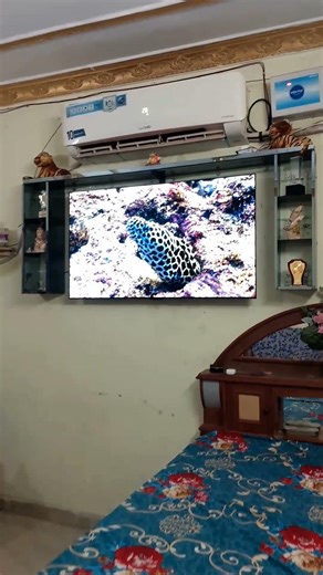 💯🤑 Best Oled Tv 2026 | OLED TV 55 INCH | LG OLED 55 INCH #oled #lgoledtv #oleddisplay #4k#trending
