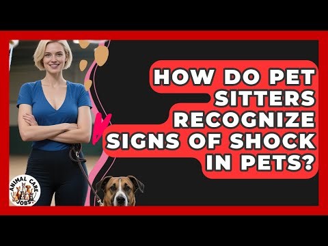How Do Pet Sitters Recognize Signs Of Shock In Pets? - Animal Care Jobs