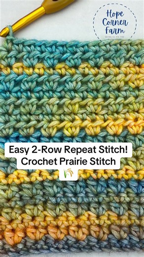 🌾 The Prairie Stitch is easier than you think! 🧶✨ Learn this beautiful textured crochet stitch with a simple 2-row repeat using chains, single crochets, and half double crochets. Save this tutorial for your next project! 🤎 #crochet #CrochetTok #CrochetTutorial #EasyCrochet #LearnToCrochet