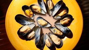 Potentially deadly levels of biotoxin found in Whatcom Co. shellfish