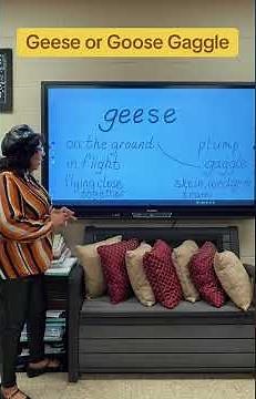 Geese or 🪿 Goose 🪿 Gaggle Which is correct?