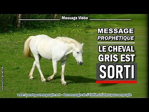 MESSAGE PROPHÉTIQUE : LE CHEVAL GRIS EST SORTI
