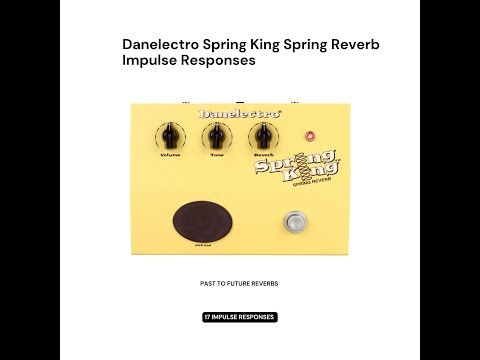 DANELECTRO SPRING KING IRS demo video