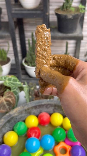 A RAM SAM SAM chiki toonz🍉🍎🍭🍒🔴#shortvideo#youtubeshorts#funny #cutebabyfunny#samayranarula