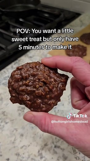 Quick No-Bake Peanut Butter Chocolate Chip Cookies