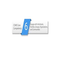 CSWE Core Competency 6: Engage with Individuals, Families, Groups, Organizations, and Communities