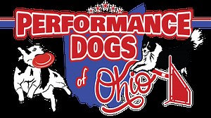 About Us - Performance Dogs Of Ohio - Disc, Frisbee & Stunt