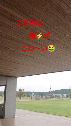 こわ〜い😂#shorts