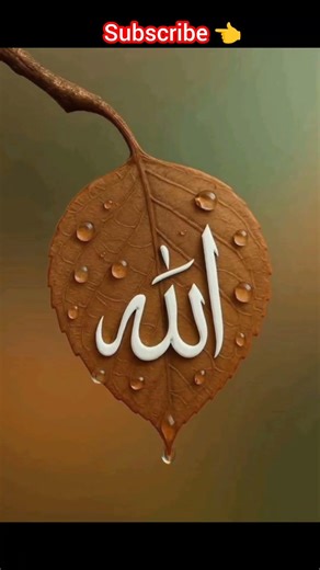 Ya robbe mostofa to moze hojj ko vola🌺🥰 #shorts #viral