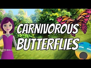 Carnivorous butterflies | science explainer