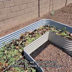 7.6K views · 121 reactions | Start your garden on a sustainable note!  An organic raised garden bed isn’t just great for the environment but also for growing healthy, vibrant plants. | Vegega Garden | Facebook