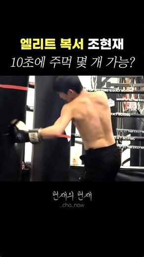 엘리트 복서 조현재 🥊 10초에 주먹 몇 개 가능?