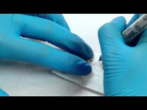 DNA/Biological Evidence