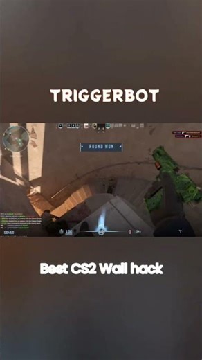 Day 11 of using Triggerbot in CS2 #gaming