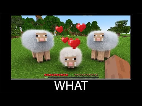 Minecraft wait what meme part 119 realistic minecraft Sheep Breeding