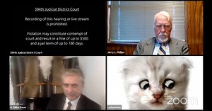 Lawyer Accidentally Uses Cat Camera Filter During Zoom Court Session