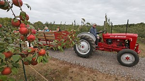 25 apple orchards in Minnesota to visit this fall