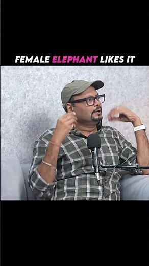 What Does a Female Elephant Like? 🐘❤️ | Amazing Elephant Facts